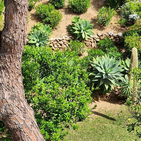 Elena Flat Lovely Paradise Above The Sea Sitio de Calahonda Exterior photo