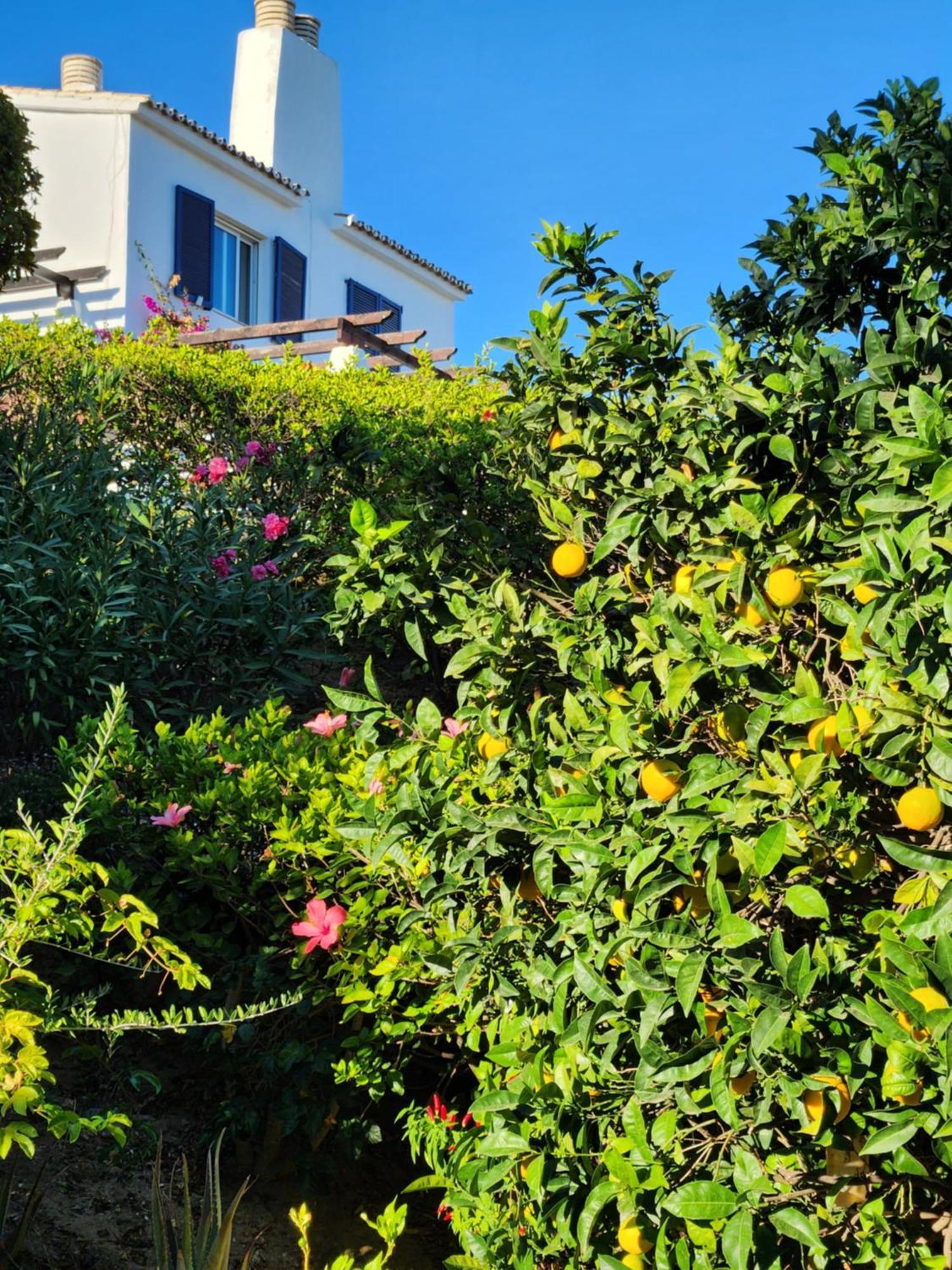 Elena Flat Lovely Paradise Above The Sea Sitio de Calahonda Exterior photo